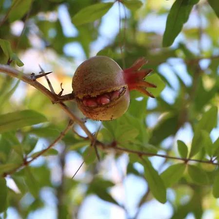 μικρό ανάδιο Hébergement de vacances *