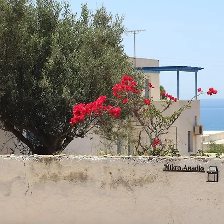 μικρό ανάδιο Hébergement de vacances Kapsálion